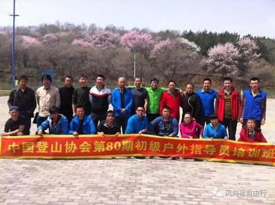 從概念到現實 風向標自由行與代訂門票服務的融合歷程
